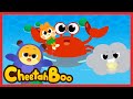 Clapping Seals Song Animal Song Nursery Rhymes Kids Song Song Songs Cheetahboo