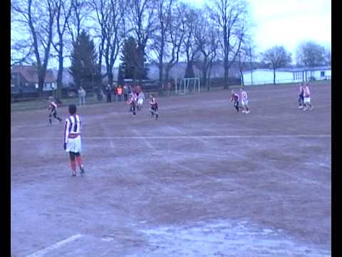 probe fsv Zwickau (F1)