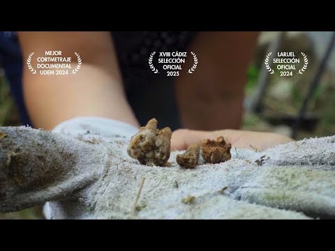 CORTOMETRAJE DOCUMENTAL -  Di su nombre (Desenterrando la verdad) - Madres buscadoras