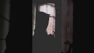 Download lagu KU PUJA PUJA (IPANK)STORY WA 30DETIK(COVER BY Mischell Tarigan) mp3