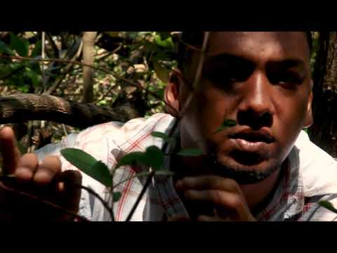 Dialeto Nordestino - Mãe D'água