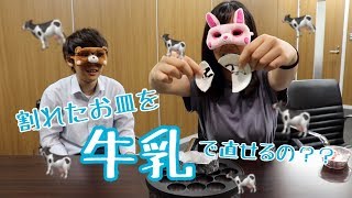 【TikTokで見た】割れたお皿は牛乳で直せるらしいよ【噂の検証】