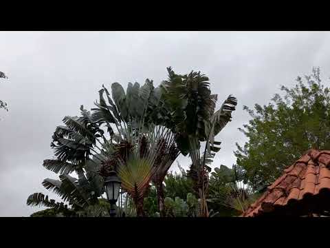 Passeio rápido pela Cidade de Chiador em Minas Gerais. Pra resolver algumas questões. 