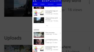 Subcribe to Luna Hedgehog