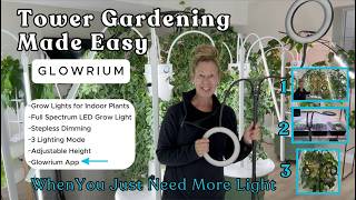 When You Just Need More Light - GROWRIUM Floor Light Review #towergarden #hydroponicgardening #farm
