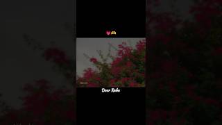 Download lagu KALYANI ❤️ Full Lyrics || Trending Malayalam Song #shorts whatsapp status/ ashethetic video mp3 Download lagu KALYANI ❤️ Full Lyrics || Trending Malayalam Song #shorts whatsapp status/ ashethetic video mp3