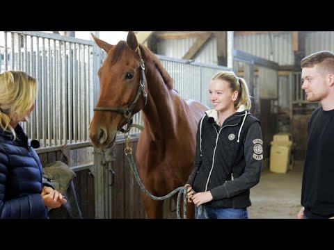 Inspektion im Ausbildungsstall - Was berichten Pferdebesitzer Ariane Telgen