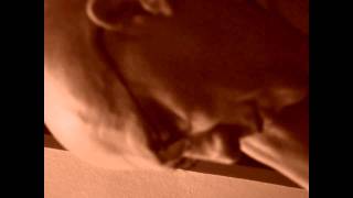 Minimal Compact "Deadly Weapons"  remix