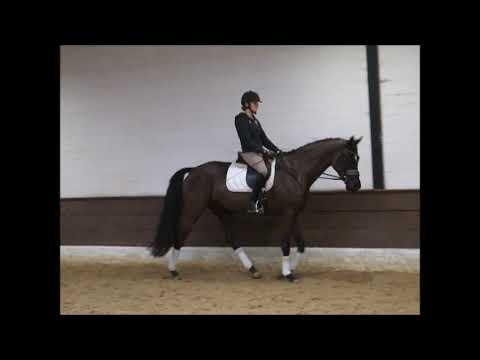 FALLING IN LOVE 4j. v. Finest -San Amour VB 18.000,- Euro