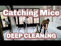 Day 1: Getting Rid of Mice & DEEP Cleaning! Taking Back our House.