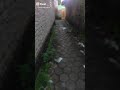 Nyari Jablay Montok