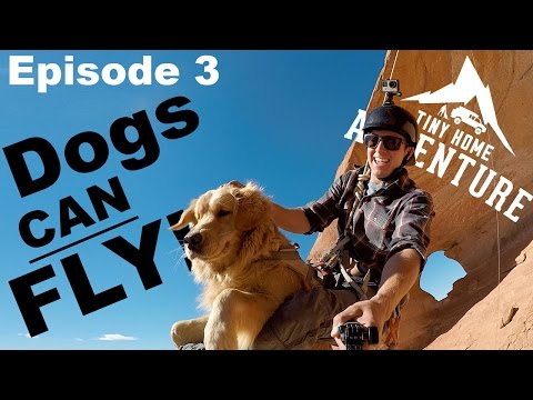 Dogs Can Fly! Tiny Home Adventure Mini Series Episode 3
