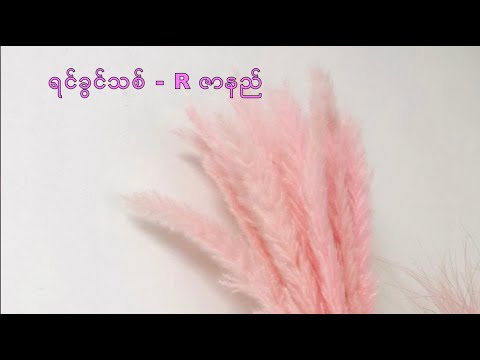 ရင်ခွင်သစ်   Yin Kwin Thit   R Zar Ni