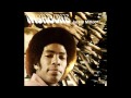 Jackie Mittoo - Groovy Spirit