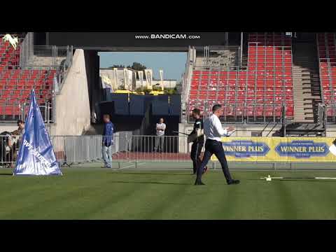 1508 Ares von Team Kiasa - TSB BSZS-2023 & 1012 Jambo vom Fichtenschlag - TSB BSZS-2023