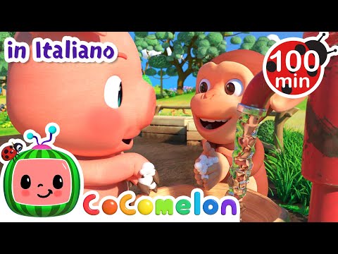 Tutti devono lavarsi le mani | CoComelon | Moonbug Kids - Cartoni Animati