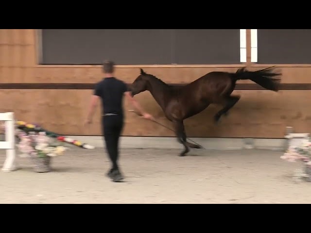 Jumping