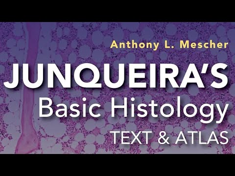 CHAPTER 18 - Skin: Histology of Skin and Epidermal Appendages