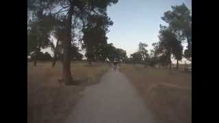 Por los caminos de la Dehesa Boyal