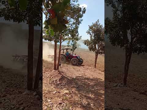 Projeto Um Olhar Para o Cerrado realizado na comunidade ribeirinha do Lago Serra da Mesa, Uruacu-GO