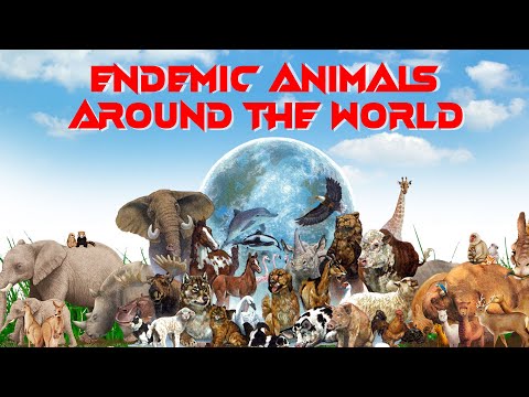 20 Endemic Animals Around the World