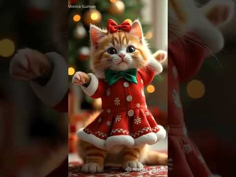 cute cat dance 🤩#midhuna #cortoon #familyvideo #children