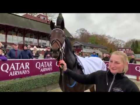 Vinterfavoritterne 2019 Palazzi