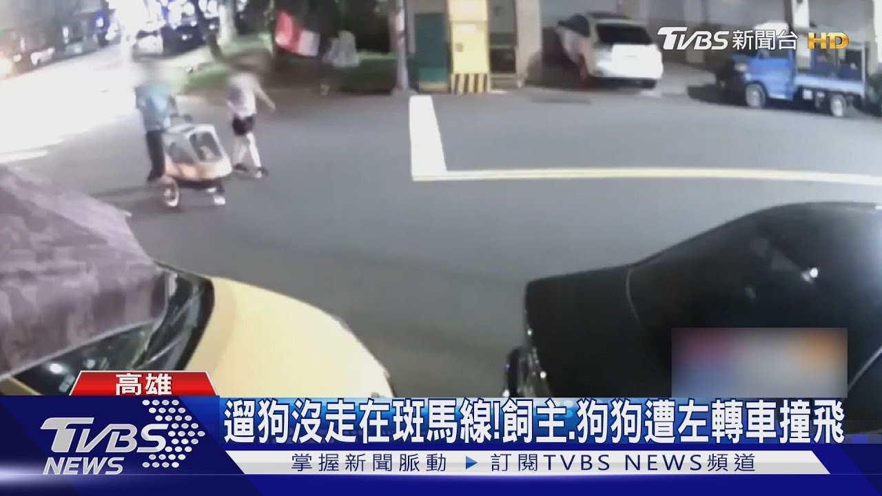 碰!遛狗沒走在斑馬線 飼主.狗狗慘遭左轉車撞飛