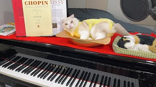 Download lagu 【ピアノ練習ライブ】ショパン、リスト、ドビュッシー、ビゼー、懐メロ、他(練習したり雑談したり)  #piano #ぽてお mp3