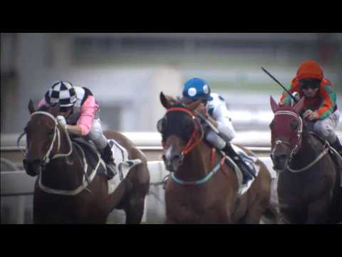 Contentment primed for success in Yasuda Kinen