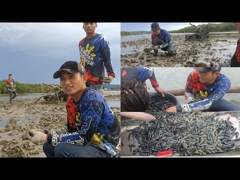 P2 - Pangunguha ng Tahong, Talaba at Bitanga sa Ilog. Occi Mindoro, Country Side EP-98