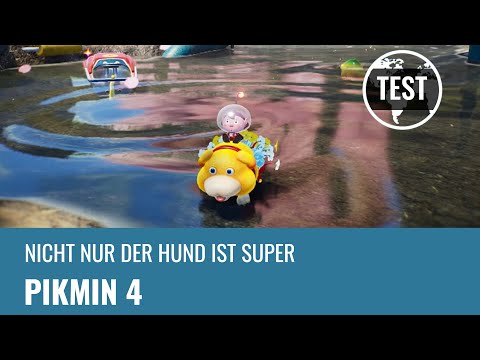 Pikmin 4: Nicht nur der Hund ist großartig (REVIEW, GERMAN)