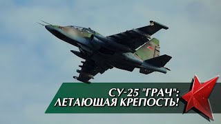 Врага разносит в клочья! // Су-25 Грач: летающий арсенал, тонна брони и ядерная бомба | ОРУЖЕЙКА