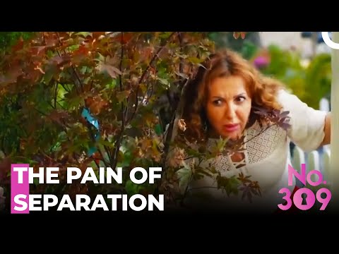 The Surprising Reason for Separation -  No.309