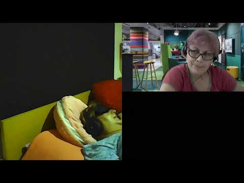 HIPNOZA REGRESIVA.RO-1006.Ana,Vraji si Dialogul cu o Clona. E. LASCU coord. si C. MORARU telepat