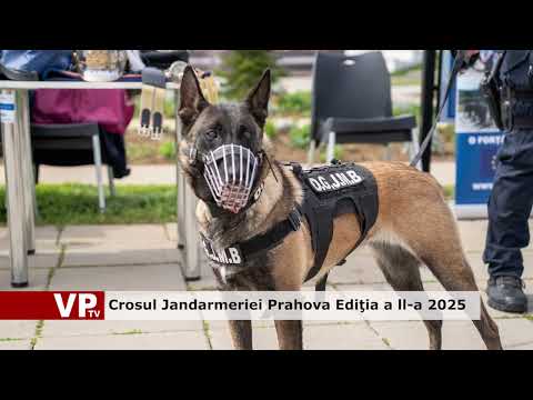Crosul Jandarmeriei Prahova Ediţia a ll-a 2025