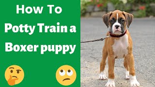 How to easily potty train a Boxer puppy? This is the Easiest Technique possible..