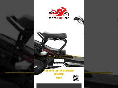 Honda Ruckus - Video 1