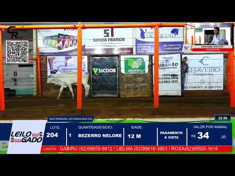 LEILÃO DA LEILOGADO  EM SÃO MIGUEL DO ARAGUAIA - GO 13/11/2025 | LEILÃO AO VIVO.