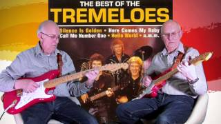 Silence is golden - The Tremeloes - Instro cover by Dave Monk
