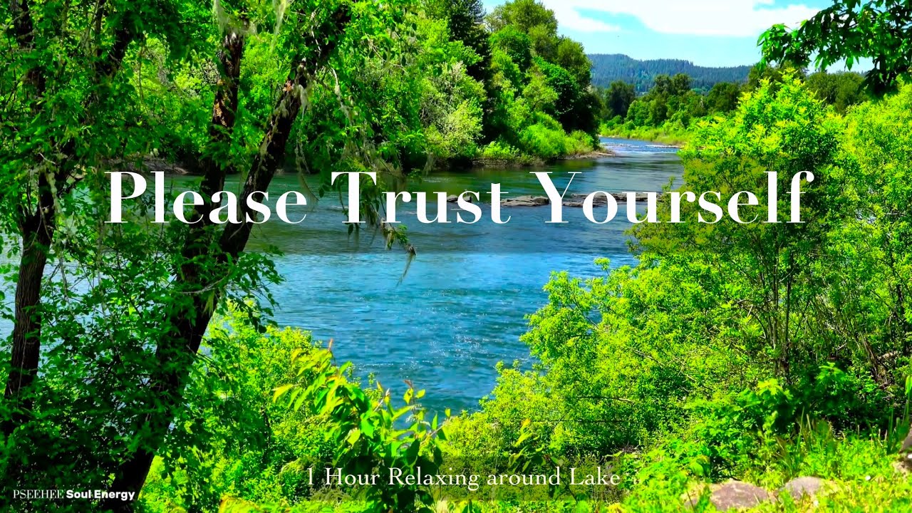 Nature relaxing music｜Bird Song｜1 hour Study Music｜432Hz Meditation｜Trust Yourself🍀Positive Energy💗