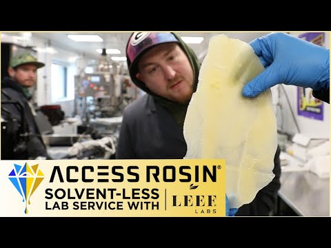 Solvent-less Lab Service with LEEF LABS | Access Rosin®