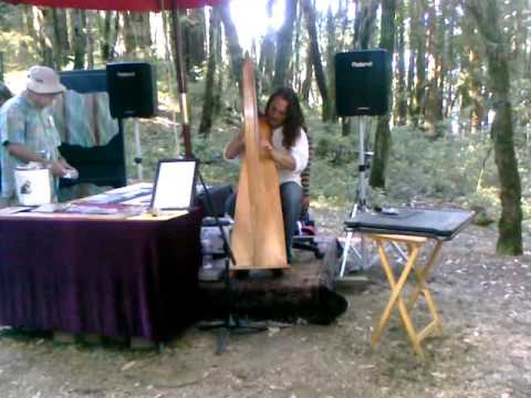 Harp player, Kings Mountain Crafts Fair, san francisco music