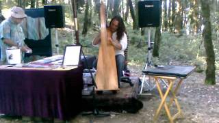 Harp player, Kings Mountain Crafts Fair, san francisco music