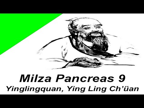 Milza pancreas 9 - agopuntura non solo per l'estetica - medicina tradizionale cinese roma