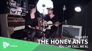 THE HONEY ANTS - You Can Call Me Al (Paul Simon cover) | TEAfilms Live Sessions