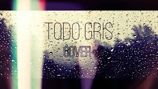 Todo Gris - INSITE - Cover