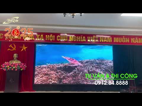 Video dự án