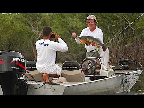 Audiência na ALEAM discute demarcação da Terra Indígena Aracá-Padauiri e impactos no Rio Negro