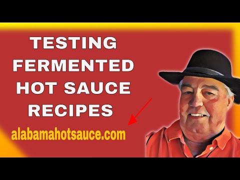 Testing Fermented Hot Sauce Recipes #fermentedhotsaucerecipes #fermentedhotsauce #alabamahotsauce